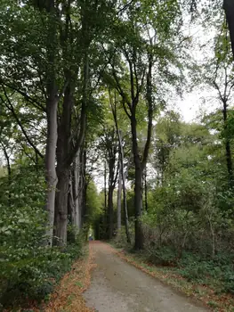 Gaasbeek + Kasteel van Gaasbeek (Lennik, België)